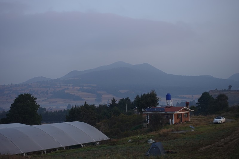 Amanecer en la granja