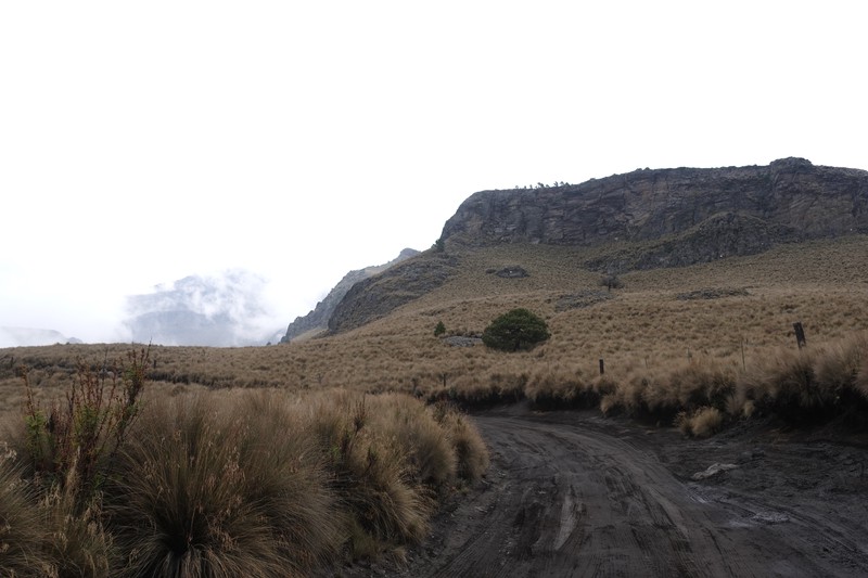 Camino hacia la Joyita