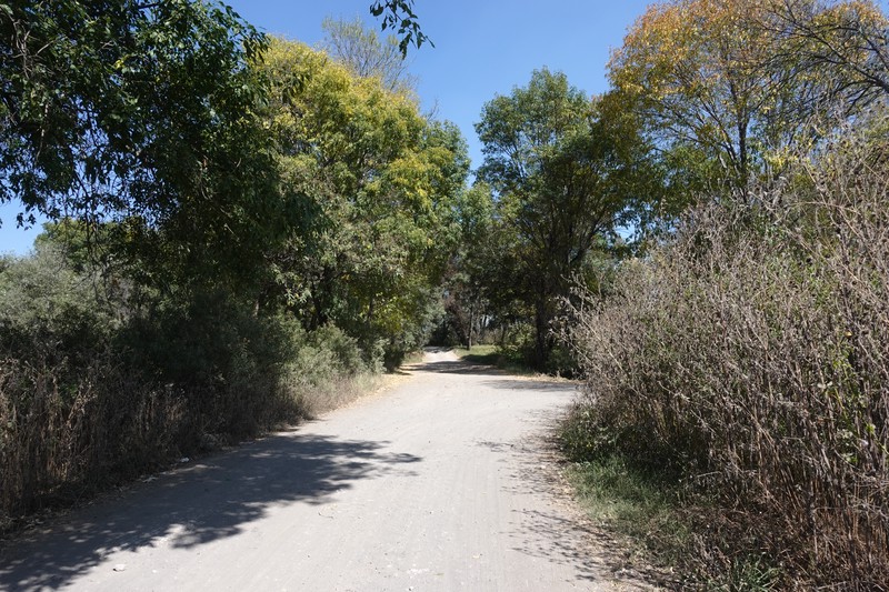 Camino rural hacia Tlaxcala