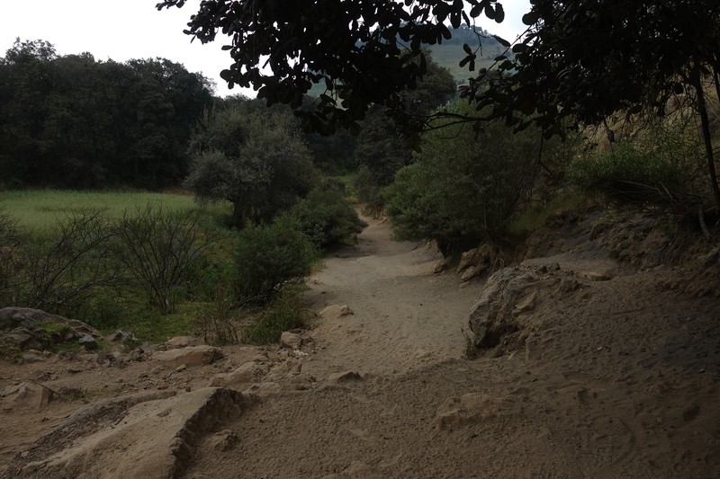 Camino arenoso