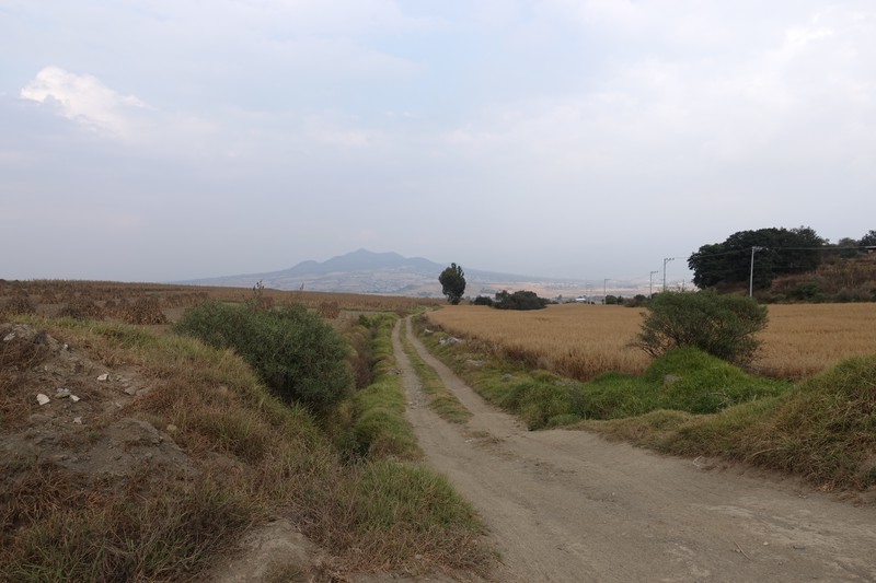 Sembradio de Juchitepec