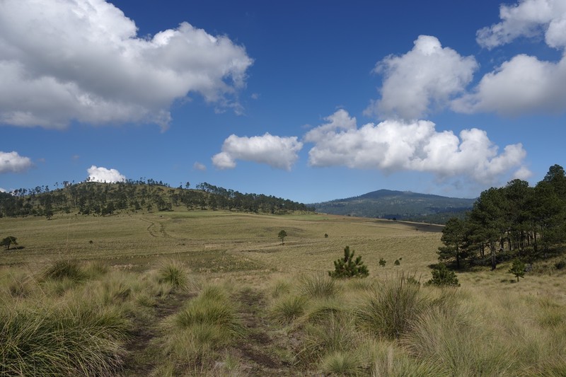 Los campos de Parres