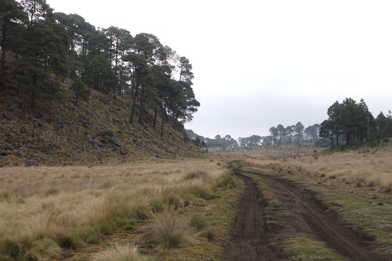 Camino arenoso