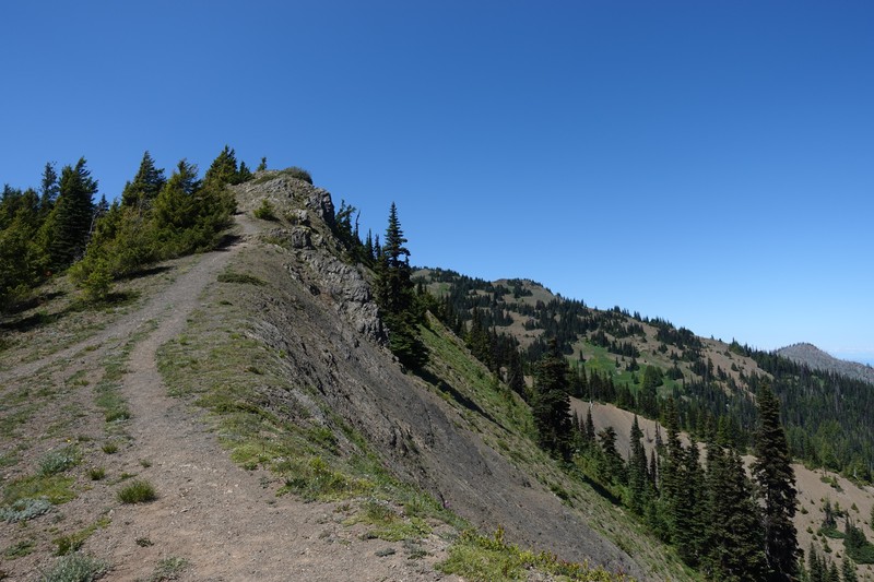 Hurricane Ridge