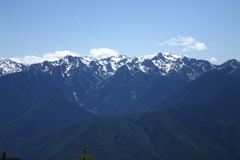 Hurricane Ridge