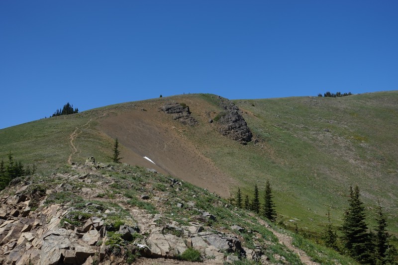 Hurricane Ridge