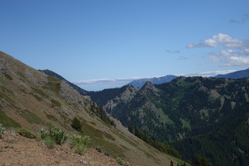 Hurricane Ridge