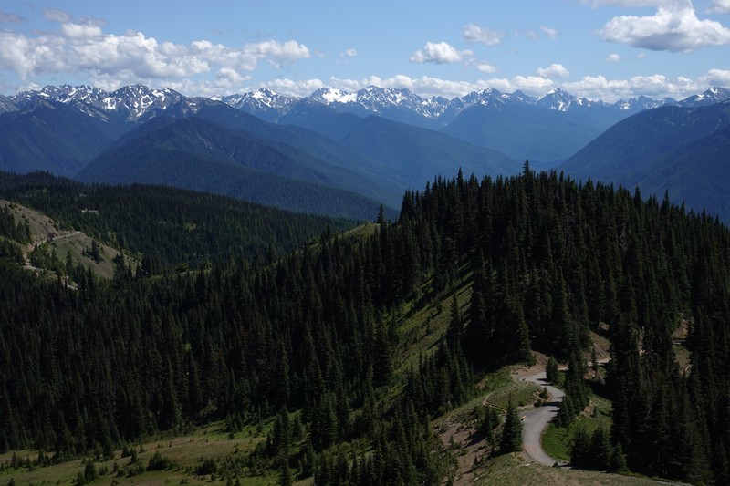 Hurricane Ridge