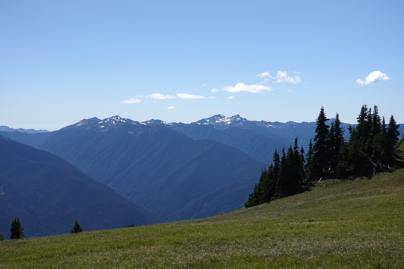 Hurricane Ridge