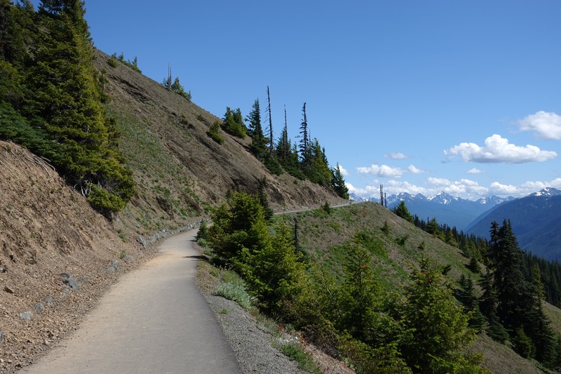 Hurricane Ridge